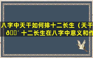 八字中天干如何排十二长生（天干 🌴 十二长生在八字中意义和作用）